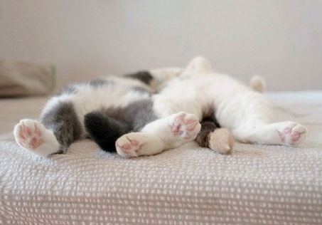 “日會玩”出洗澡機 島國懶到洗澡都要智能化