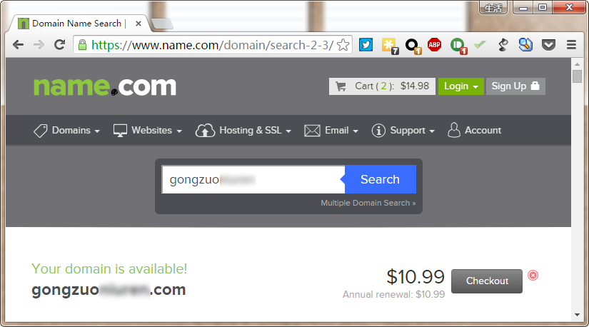 如何購買域名 購買域名高級進階指南 域名比價 取消域名保護 域名搶注
