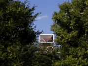 東芝宣布單季度虧損百億 財務造假推遲兩月