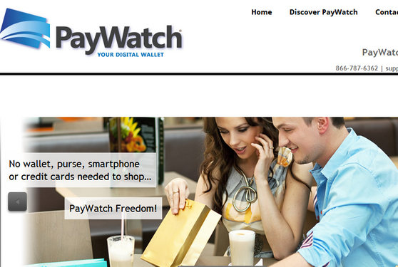 阿里巴巴 支付表 paywatch.com 域名投資