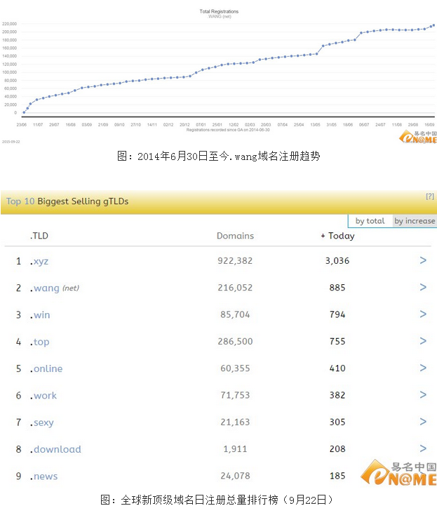 .wang域名 域名投資 .wang域名注冊