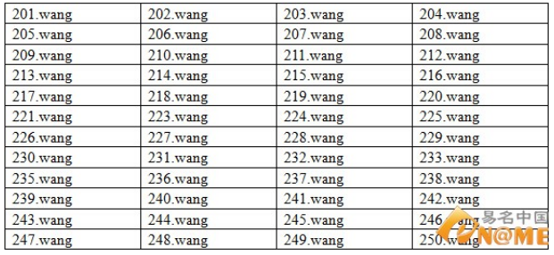.wang域名 域名投資 .wang域名注冊