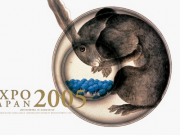 談談我至今5年的網站建站、“優化”之路