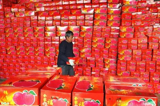 11月3日，山東省沂源縣東里鎮東安村的果農在搬運網銷蘋果。“雙十一”臨近，山東省淄博市沂源縣的許多果農加緊分揀包裝，通過網絡平臺銷售蘋果，村莊里、果園里一派忙碌景象。(趙東山攝影)