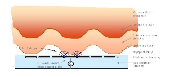 為什么指紋識別應該成為手機的標配?