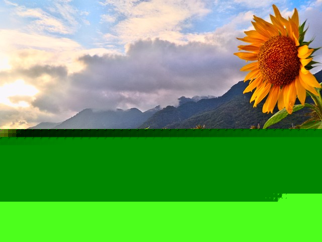 涉足拍照手機?華碩放出新品發(fā)布會邀請函