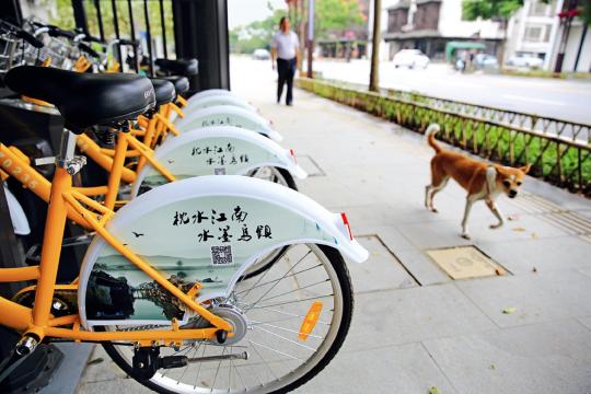 烏鎮(zhèn) 見聞 大會 互聯(lián)網 世界