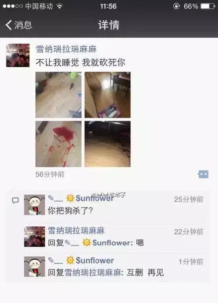長(zhǎng)春女子虐狗事件刷爆朋友圈:愛(ài)狗人士憤怒討伐
