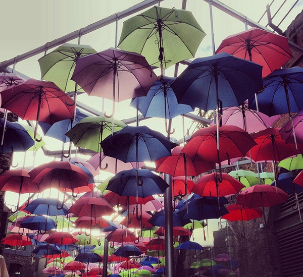 文藝清新 手把手你手機拍攝朋友圈大片