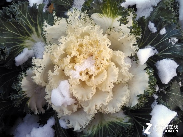 水土不“服” AGM A1三防旅行手機評測