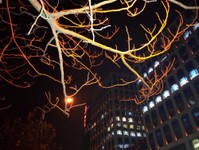 樣張秀：中興小鮮3感受北國冬夜風(fēng)光