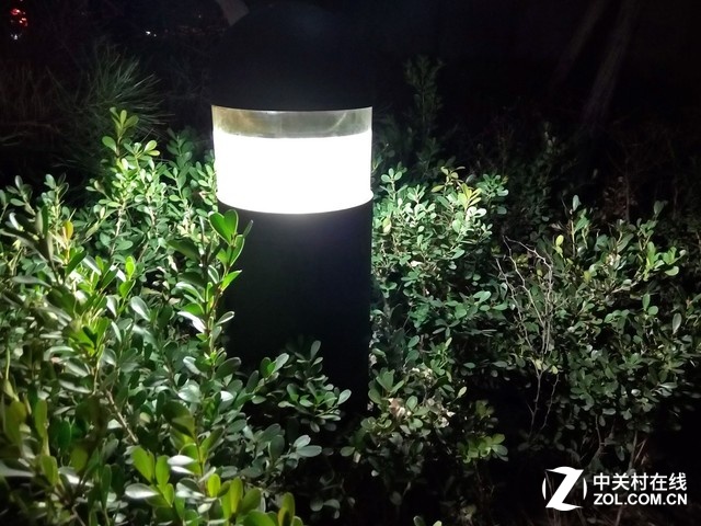 樣張秀：中興小鮮3感受北國冬夜風光