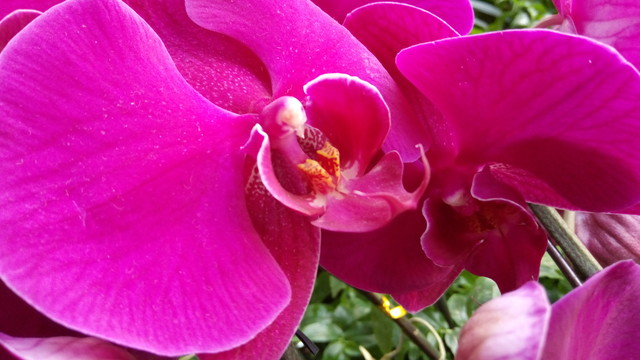 聯(lián)發(fā)科八核支持指紋 有糖手機U7評測