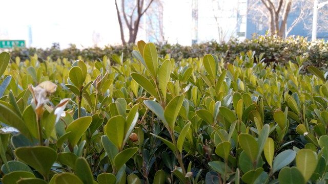 聯(lián)發(fā)科八核支持指紋 有糖手機U7評測