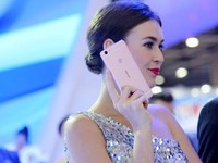 明年上市售400美元? iPhone 6c消息匯總