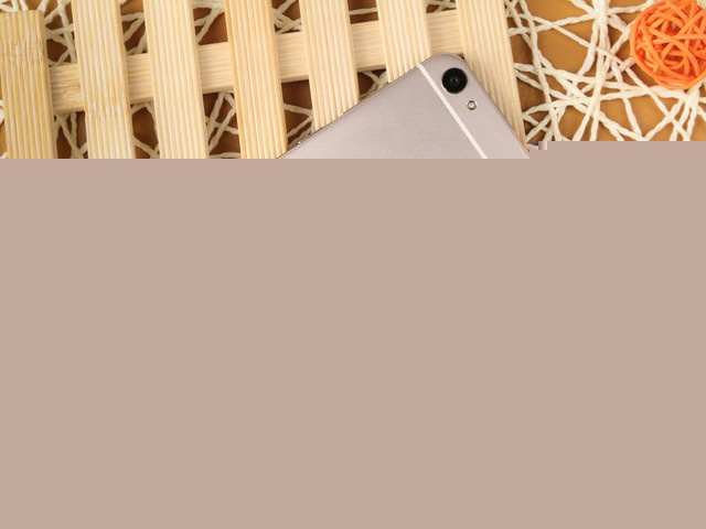 配備極速指紋 vivo X6官網報價2498元