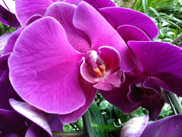 指紋識(shí)別800萬(wàn)像素拍照 TCL樂(lè)玩2C評(píng)測(cè)