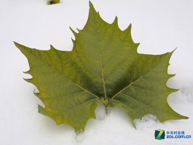 4GB RAM+安卓6.0 華為Mate 8購(gòu)機(jī)手冊(cè)