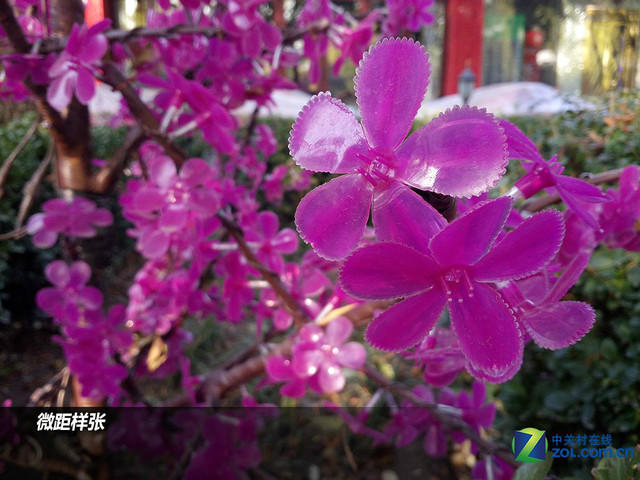 全金屬機身+指紋 樂視手機1S購機手冊