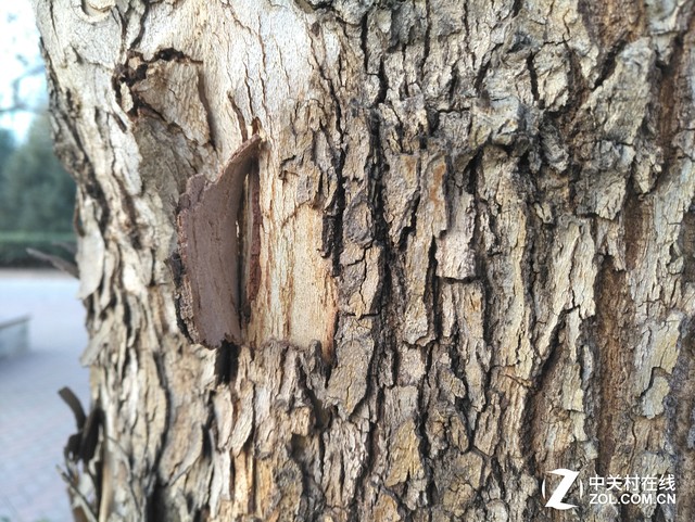 性價比之爭 斐訊輕客2S對比小米note