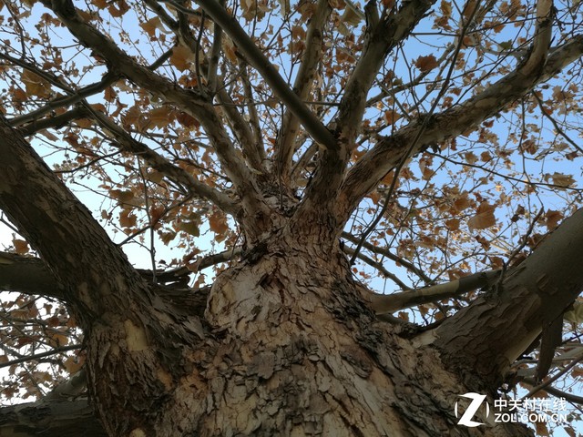 三軸智能光學防抖 華為Mate 8拍照體驗 