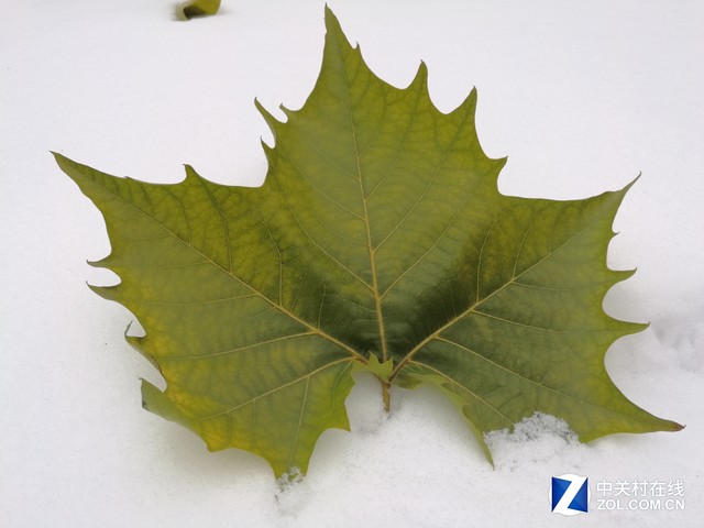 相位對焦/PDAF終聚首 索尼IMX298解析