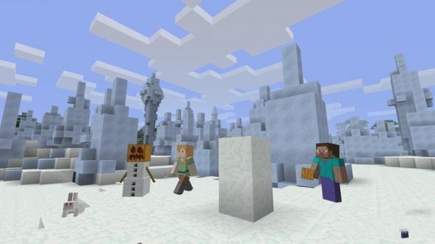 我的世界大更新Wii U版無緣增多種植物