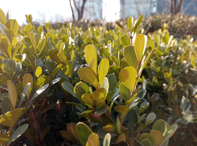 誰更好用? 魅藍(lán)metal/紅米Note 3對(duì)比 