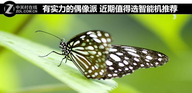 有實力的偶像派 近期值得選智能機推薦