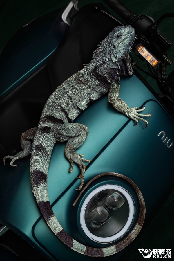 小牛電動(dòng)車新版發(fā)布 價(jià)格真信仰!