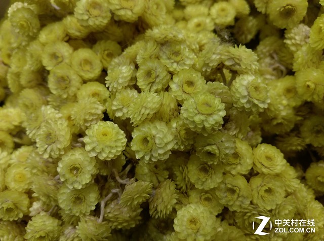 HTC One A9:精致貴族風范的中端機