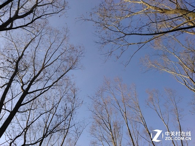 樣張秀:帶著TCL樂(lè)玩2C感受北京深冬