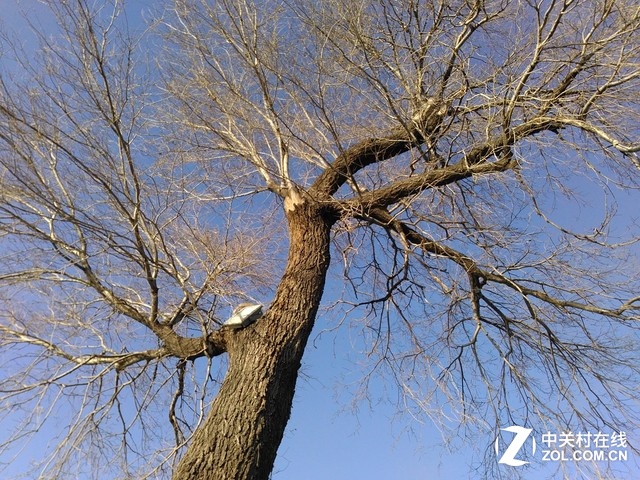 樣張秀:帶著TCL樂(lè)玩2C感受北京深冬