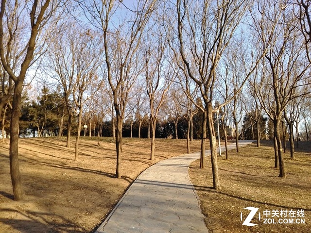 樣張秀:帶著TCL樂(lè)玩2C感受北京深冬