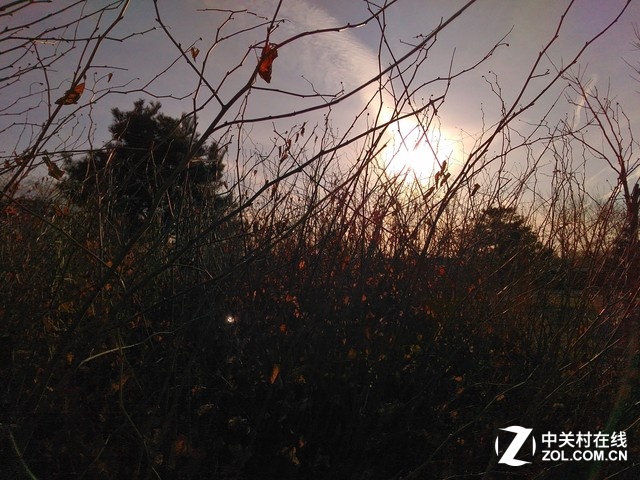 樣張秀：帶著TCL樂玩2C感受北京深冬