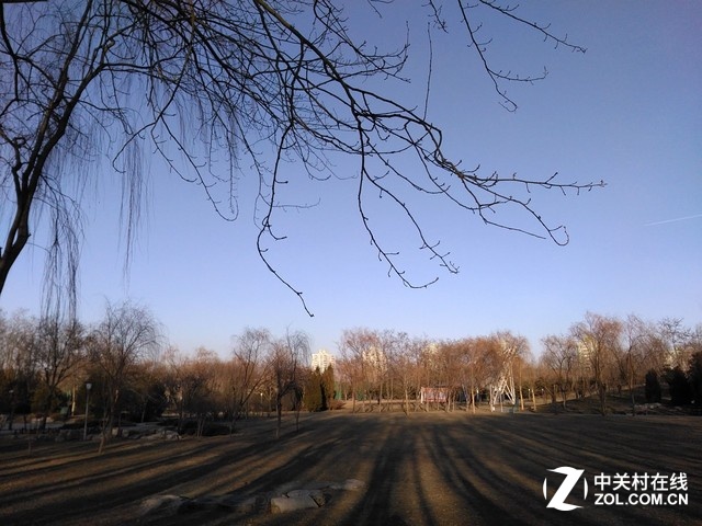 夏天長滿綠草的廣場如今變得一片肅殺，干枯的樹枝上葉子全部掉光了。