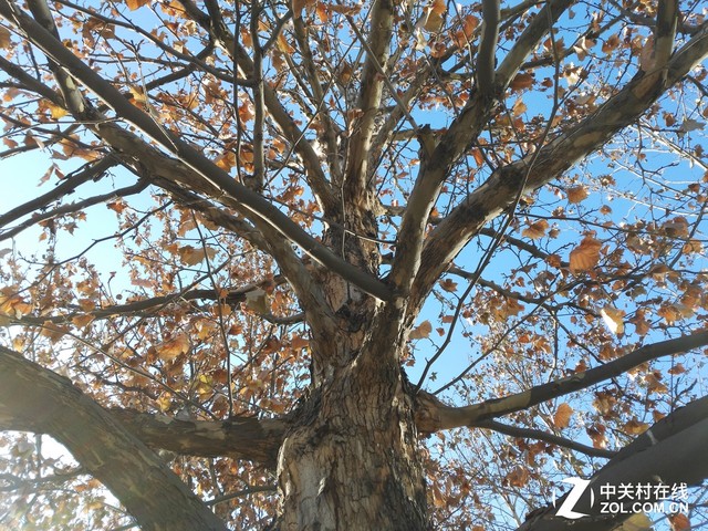 翻轉鏡頭看世界 榮耀7i拍照功力深度解析