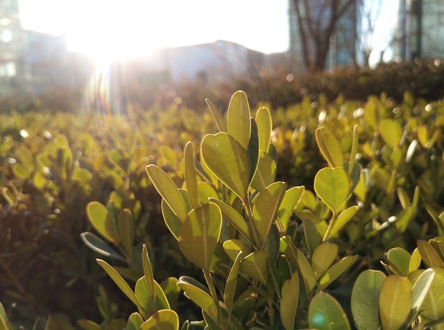 智慧雙攝發威 奇酷手機極客版影像體驗