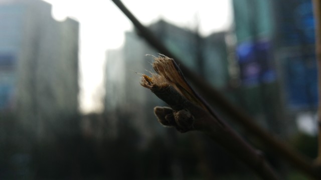 AXON天機MAX評測（待整理） 