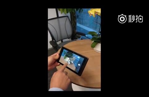 聯想手機老大 在手機相機里“養”了一只貓