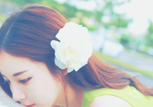 淘寶網(wǎng)紅 網(wǎng)紅店鋪