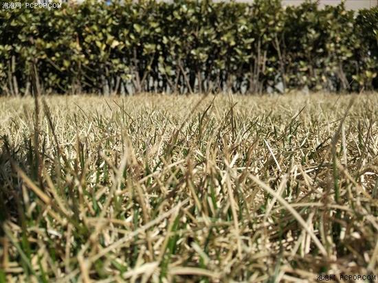 經典升級的小米4S評測 顏值握感出色結合 