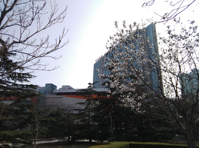 酷派鋒尚pro2評測 