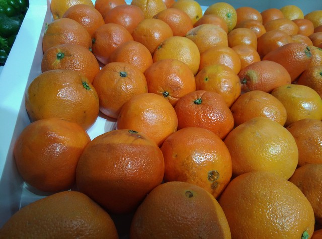 酷派鋒尚pro2評測 