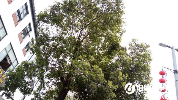 樂檬K5 Note怎么樣 聯想樂檬K5 Note評測