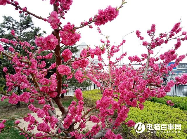 樣張差距不明顯 魅族PRO6與魅藍note3拍照對比