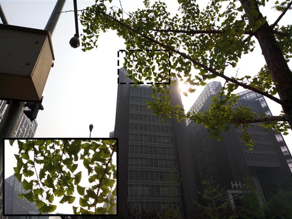 樣張差距不明顯 魅族PRO6與魅藍note3拍照對比