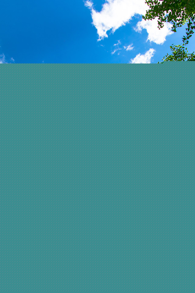 留住春天的色彩 佳能EOS 80D試用體驗 