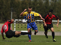 新手進(jìn)階班 相機(jī)的對焦功能究竟怎么用