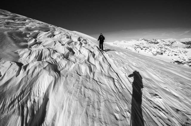 新手進階班 相機的對焦功能究竟怎么用 
